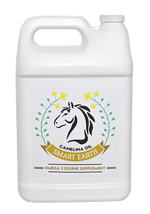 Camelina Oil 4 L