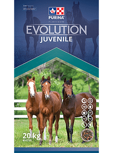 Evolution Juvenile - Double JB Feeds