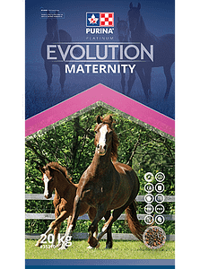 Evolution Maternity - Double JB Feeds