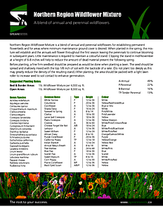 Speare Seeds - Double JB Feeds