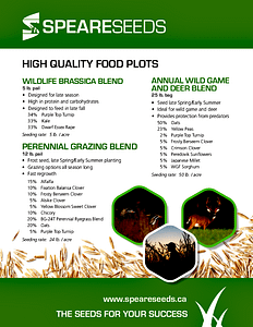 Speare Seeds - Double JB Feeds