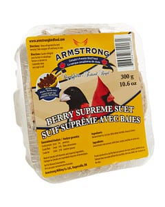 Suet Cakes - Double JB Feeds