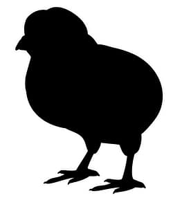 Poultry Orders - Double JB Feeds