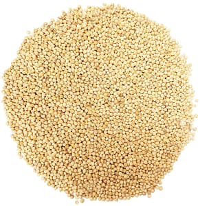 White Millet - Double JB Feeds