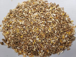 Laying Mash - Double JB Feeds