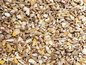 Poultry Scratch Grain - Double JB Feeds