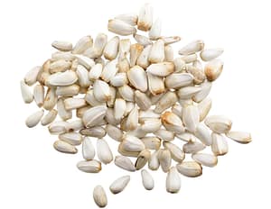 Safflower Seeds - Double JB Feeds