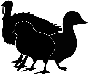 Poultry Orders - Double JB Feeds