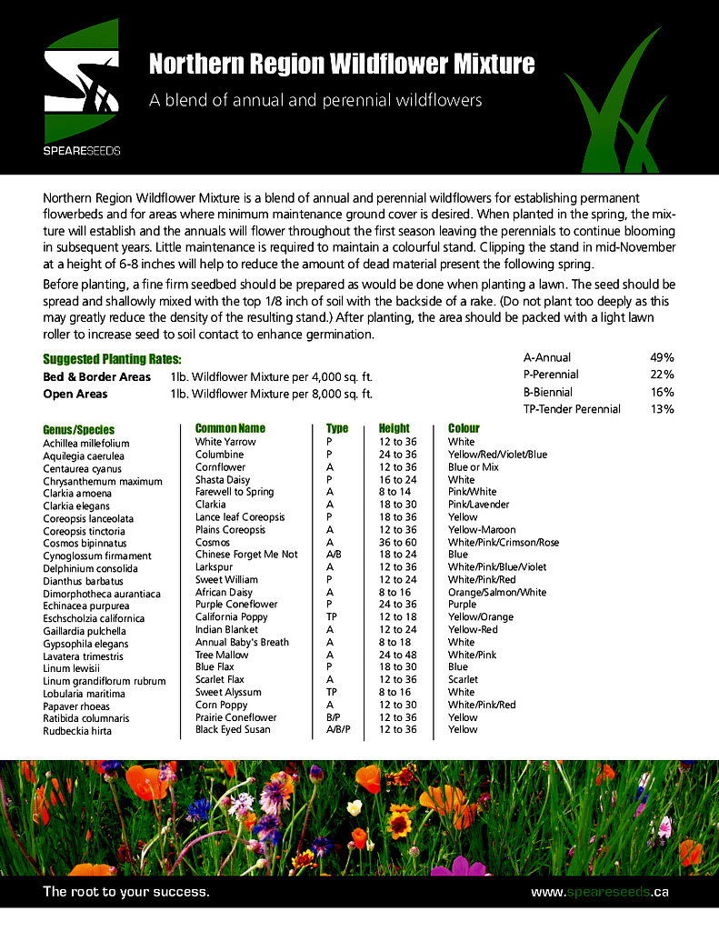 Speare Seeds - Double JB Feeds