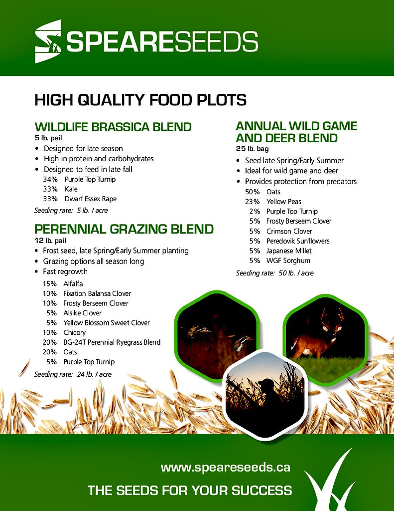 Speare Seeds - Double JB Feeds